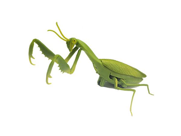 RC 走る!!昆虫シリーズ No.1 カマキリ | HLJ.co.jp