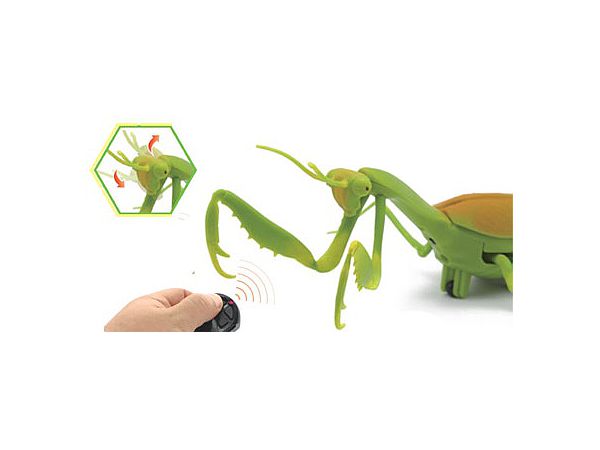 RC 走る!!昆虫シリーズ No.1 カマキリ | HLJ.co.jp