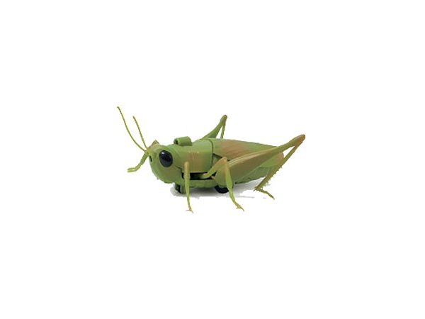 ポケモン オールスターズ みんなでゲット バトルゲーム ポケモン オールスターズ みんなでゲット バトルゲーム