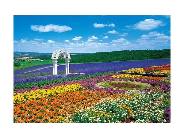 ジグソーパズル 花の咲く丘-富良野 300ピース (26cm x 38cm