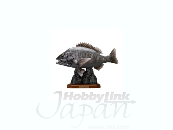 希少品　激レア　フェバリット社　クロダイ　50センチ　年なし　GFA-053 クロダイ 50cm (年なし) | HLJ.co.jp