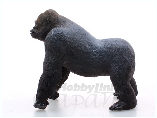 ゴリラ・ゴリラ・ゴリラ HONDA GORILLA ゴリラ 6V ノーマル