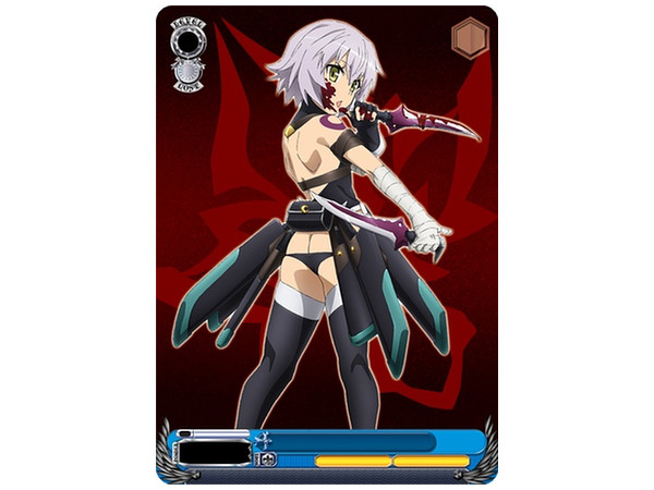 ヴァイスシュヴァルツ ブースター Fate/Apocrypha 1Box 16pcs | HLJ.co.jp