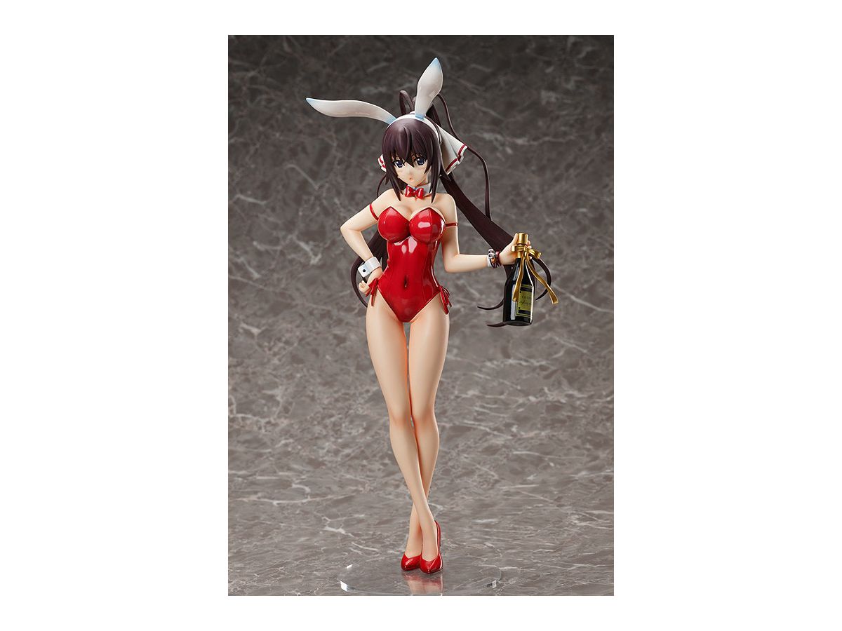 1 4 Is インフィニット ストラトス 篠ノ之箒 生足バニー Ver By フリーイング ホビーリンク ジャパン 1 4 Is インフィニット ストラトス 篠ノ之箒 生足バニー Ver By フリーイング ホビーリンク ジャパン