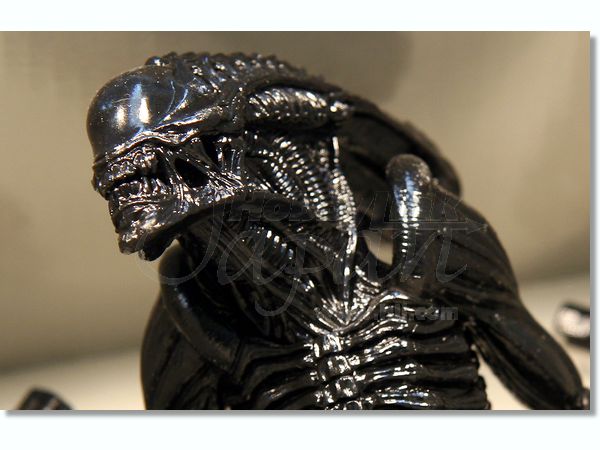 エイリアン・ウォーリアーリアルフィギュア Amazon.com: Revoltech SciFi : No.016 Alien Warrior : Toys