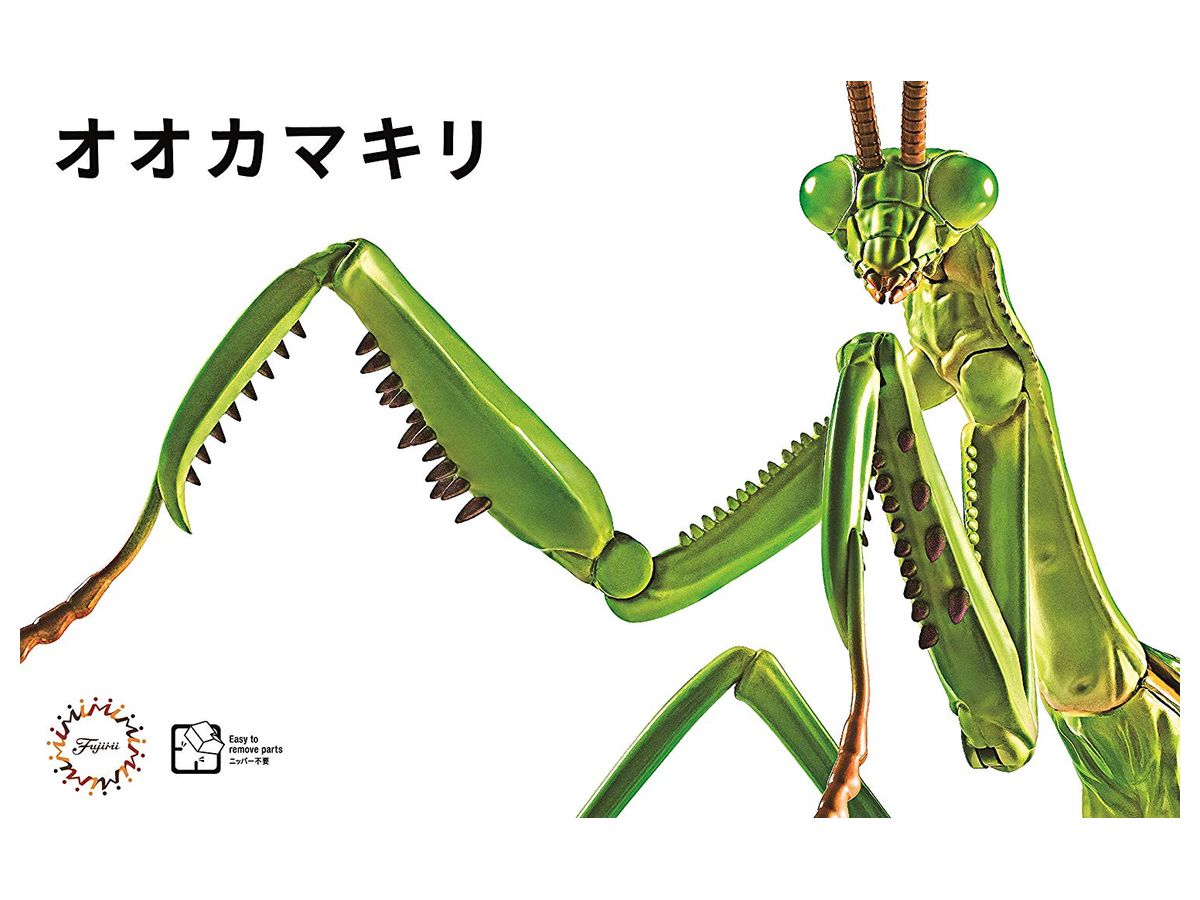 いきもの編 オオカマキリ かまきり By フジミ模型 ホビーリンク ジャパン いきもの編 オオカマキリ かまきり By フジミ模型 ホビーリンク ジャパン