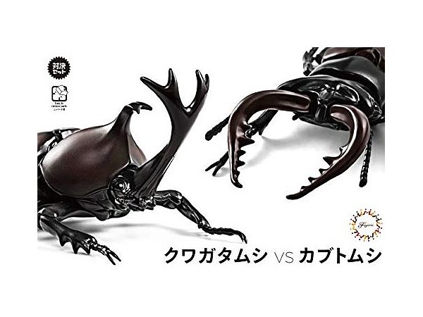 いきもの編 クワガタムシvsカブトムシ 対決セット By フジミ模型 ホビーリンク ジャパン いきもの編 クワガタムシvsカブトムシ 対決セット By フジミ模型 ホビーリンク ジャパン