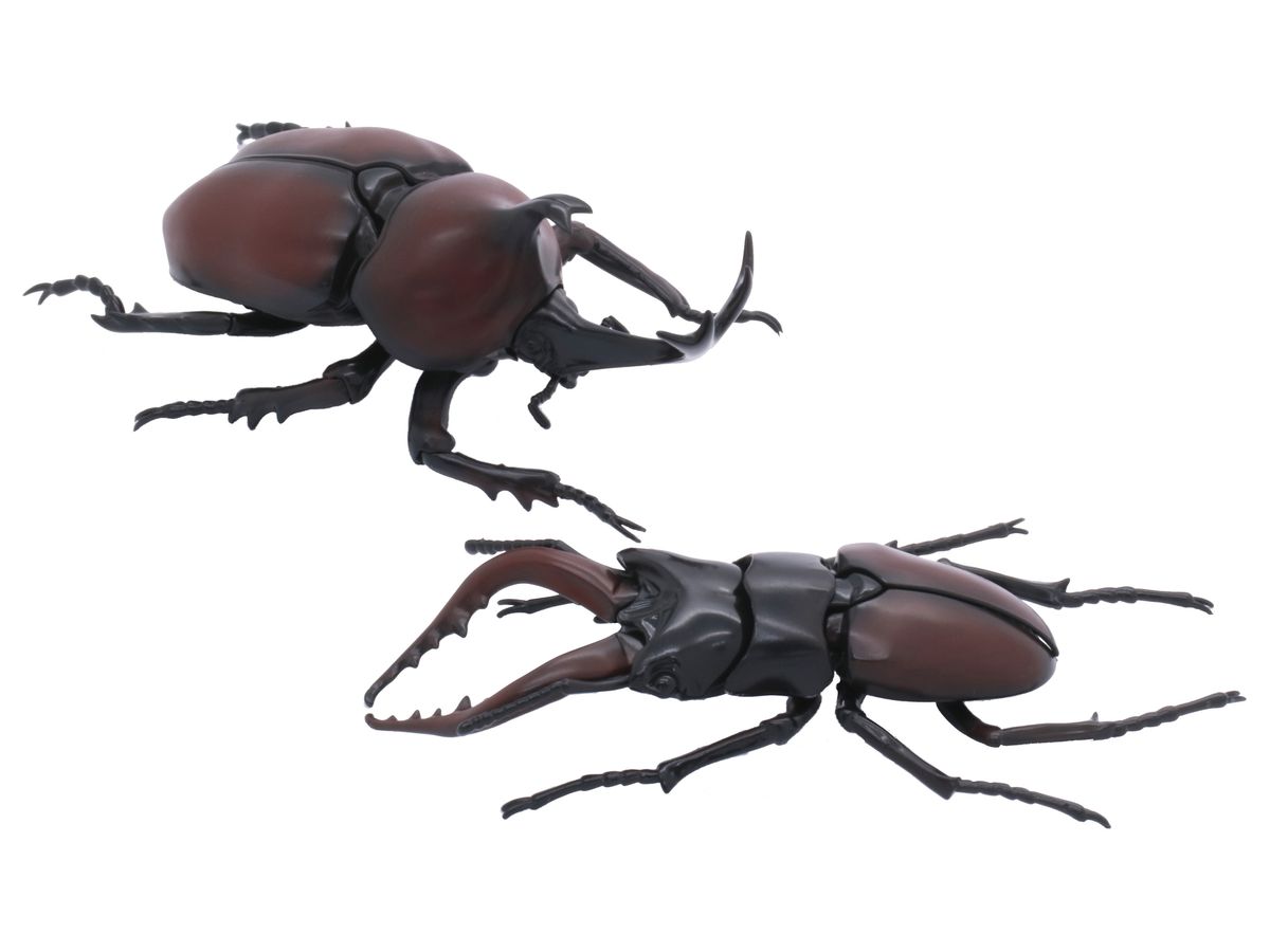 いきもの編 クワガタムシvsカブトムシ 対決セット By フジミ模型 ホビーリンク ジャパン いきもの編 クワガタムシvsカブトムシ 対決セット By フジミ模型 ホビーリンク ジャパン