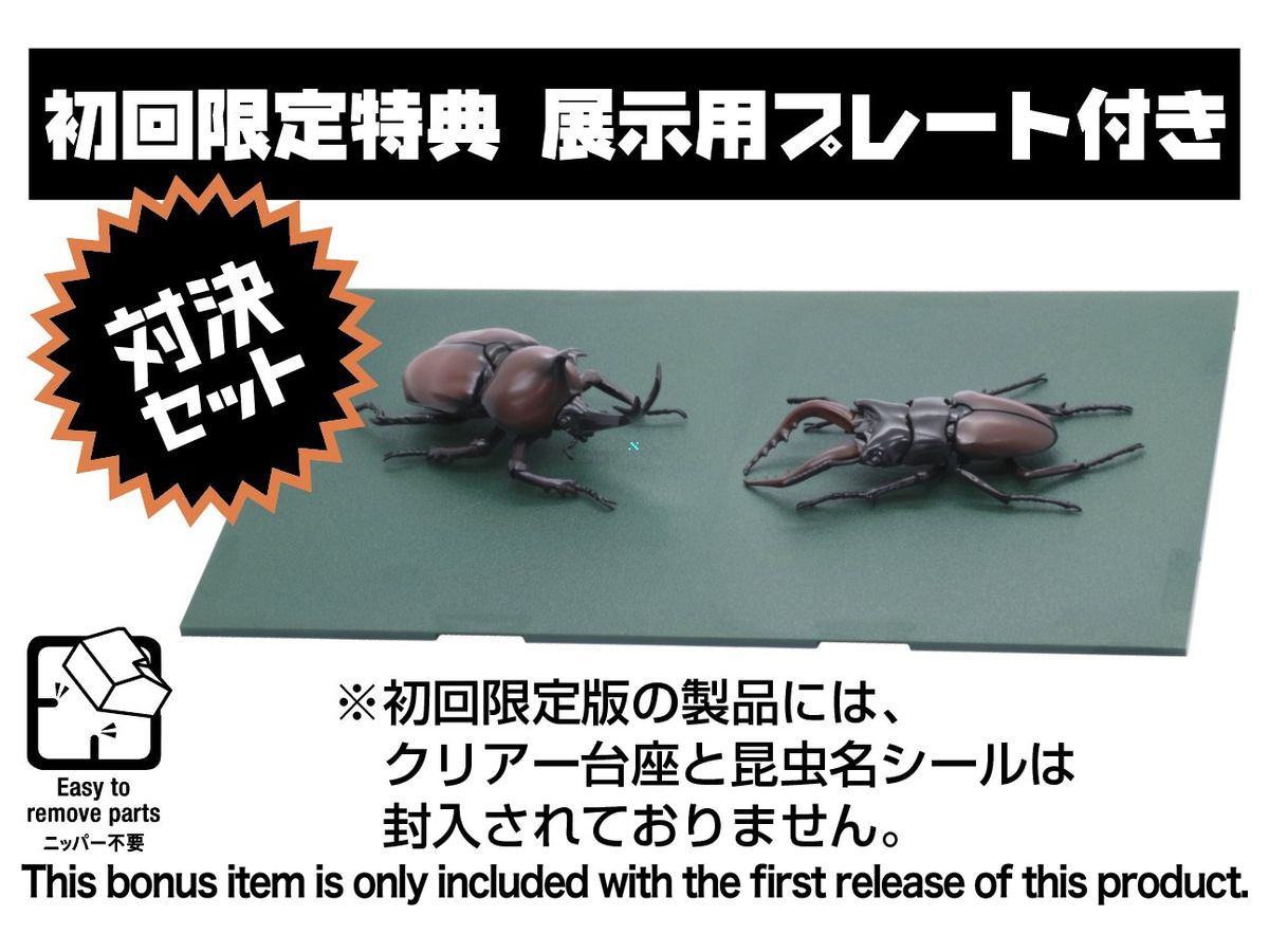 いきもの編 クワガタムシvsカブトムシ 対決セット By フジミ模型 ホビーリンク ジャパン いきもの編 クワガタムシvsカブトムシ 対決セット By フジミ模型 ホビーリンク ジャパン
