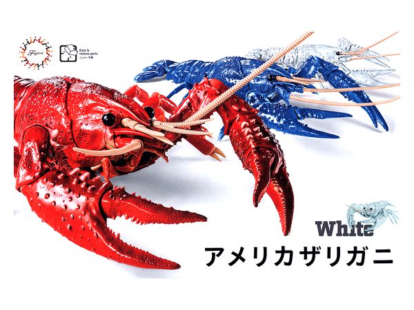 いきもの編 アメリカ ザリガニ ホワイト By フジミ模型 ホビーリンク ジャパン いきもの編 アメリカ ザリガニ ホワイト By フジミ模型 ホビーリンク ジャパン