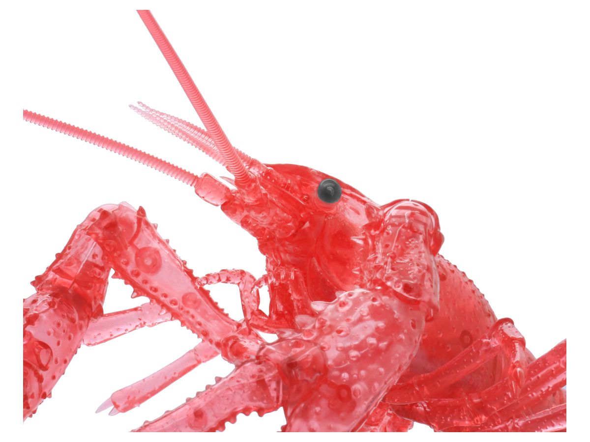 いきもの編 アメリカザリガニ クリアーレッド いきもの編 アメリカザリガニ クリアーレッド