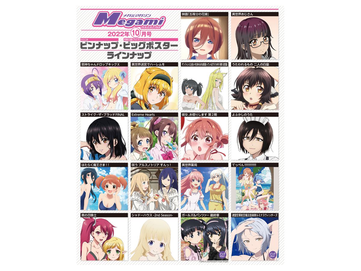 メガミマガジン　創刊10周年記念特別号　なのは大特集＆豪華付録つき！ メガミマガジン 創刊10周年記念特別号 なのは大特集＆豪華付録