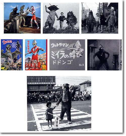 ウルトラマン 1966 (DVD付書籍) | HLJ.co.jp