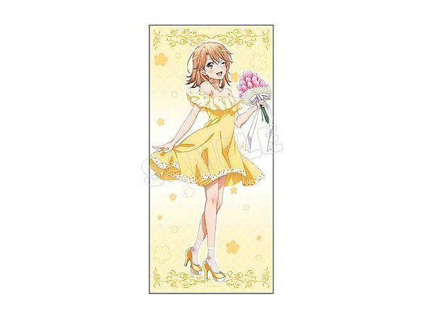 やはり俺の青春ラブコメはまちがっている。続: ほぼ等身大タペストリー 