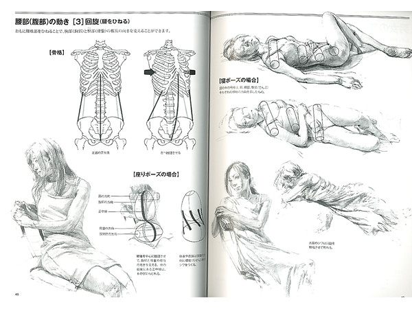 人物を描く基本 使える美術解剖図 人物を描く基本 使える美術解剖図