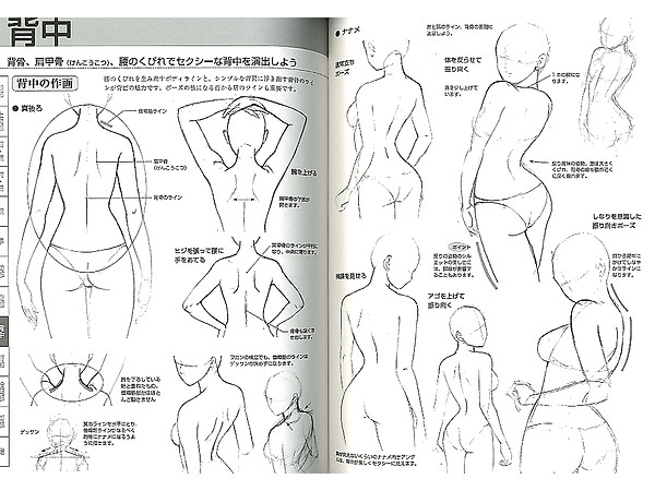 マンガの基礎デッサン セクシーキャラ編 By ホビージャパン ホビーリンク ジャパン マンガの基礎デッサン セクシーキャラ編 By ホビージャパン ホビーリンク ジャパン