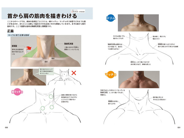 男の筋肉の描き方 By ホビージャパン ホビーリンク ジャパン 男の筋肉の描き方 By ホビージャパン ホビーリンク ジャパン