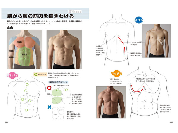 男の筋肉の描き方 By ホビージャパン ホビーリンク ジャパン 男の筋肉の描き方 By ホビージャパン ホビーリンク ジャパン