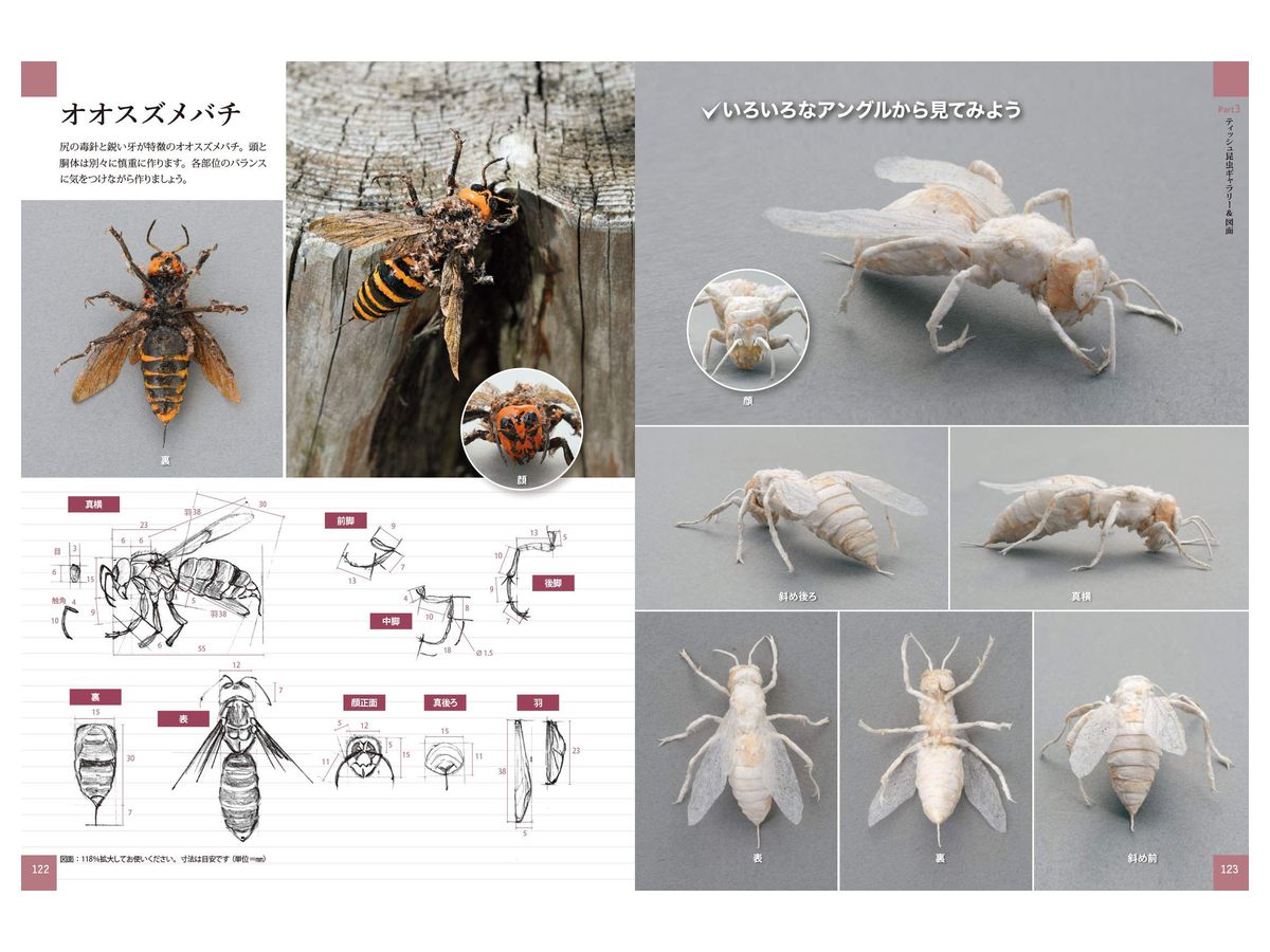 ティッシュで作るリアルな昆虫 基本のカナブンからカブトムシ アゲハチョウ トノサマバッタの工作まで By ホビージャパン ホビーリンク ジャパン ティッシュで作るリアルな昆虫 基本のカナブンからカブトムシ アゲハチョウ トノサマバッタの工作まで By ホビージャパン ホビーリンク ジャパン