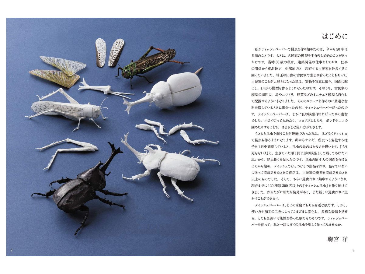 ティッシュで作るリアルな昆虫 基本のカナブンからカブトムシ アゲハチョウ トノサマバッタの工作まで By ホビージャパン ホビーリンク ジャパン ティッシュで作るリアルな昆虫 基本のカナブンからカブトムシ アゲハチョウ トノサマバッタの工作まで By ホビージャパン ホビーリンク ジャパン