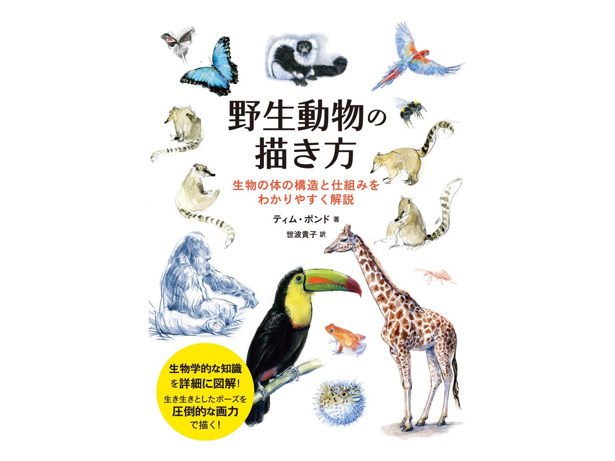 野生動物の描き方 生物の体の構造と仕組みをわかりやすく解説 By ホビージャパン ホビーリンク ジャパン 野生動物の描き方 生物の体の構造と仕組みをわかりやすく解説 By ホビージャパン ホビーリンク ジャパン