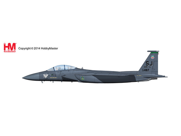 訳あり　ホビーマスター　hobby master F-15E ストライクイーグル 訳あり ホビーマスター hobby master F-15E ストライクイーグル