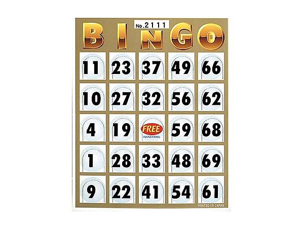 ビンゴカード100 By ハナヤマ ホビーリンク ジャパン