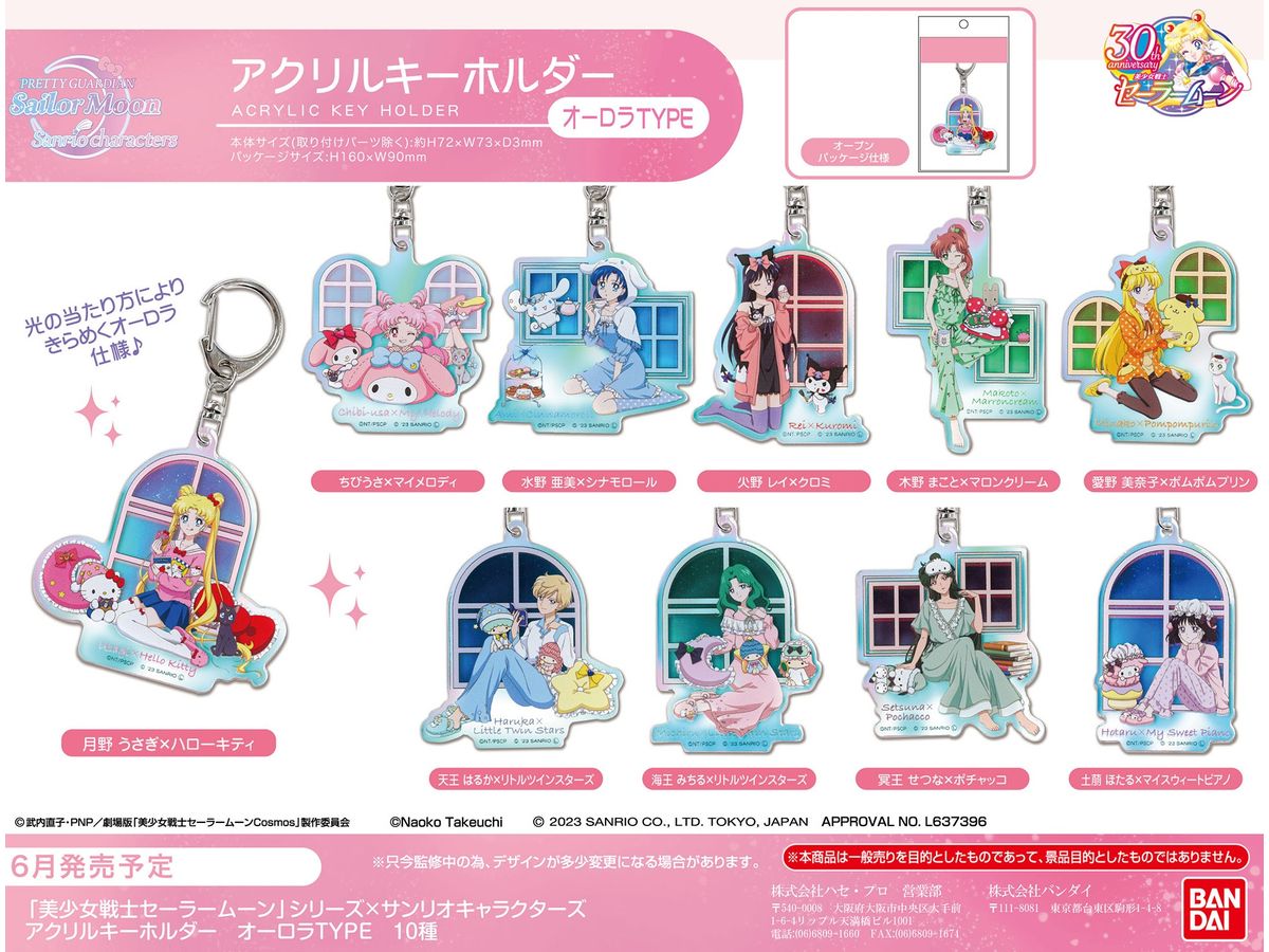 美少女戦士セーラームーンシリーズ x サンリオキャラクターズ アクリル