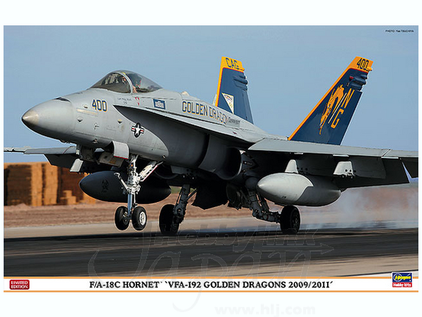 1/48 F/A-18C ホーネット VFA-192 ゴールデンドラゴンズ 2009/2011