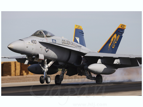 1/48 F/A-18C ホーネット VFA-192 ゴールデンドラゴンズ 2009/2011