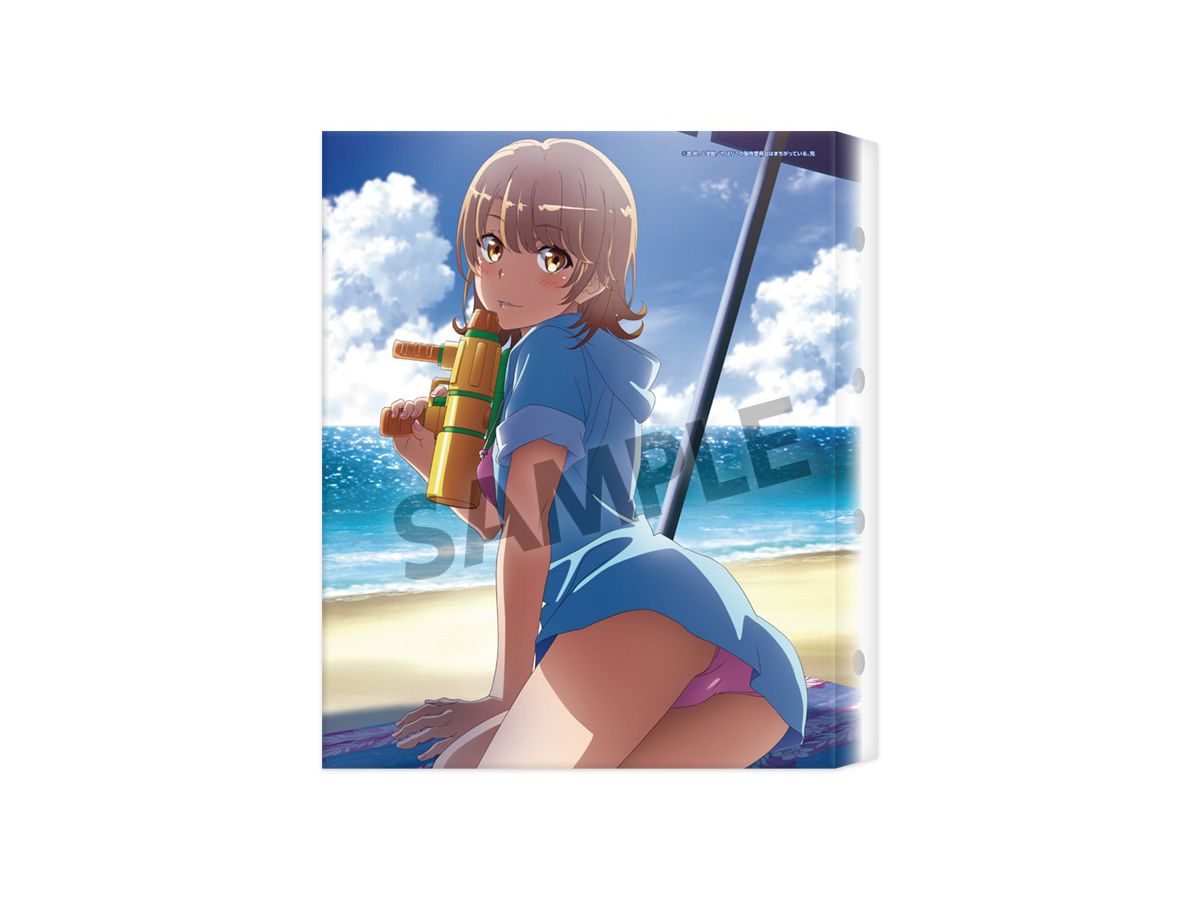 俺ガイル 完: キャンバスアート 一色いろは 水着2019ver. | HLJ.co.jp