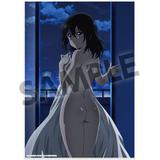 ストライク・ザ・ブラッド ビジュアルアクリルプレート 姫柊雪菜 | HLJ