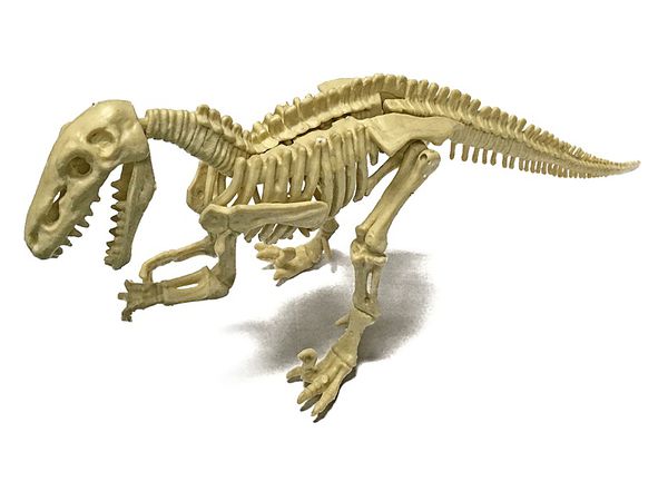 恐竜化石発掘モデル ディノニクス By インターアライド ホビーリンク ジャパン 恐竜化石発掘モデル ディノニクス By インターアライド ホビーリンク ジャパン