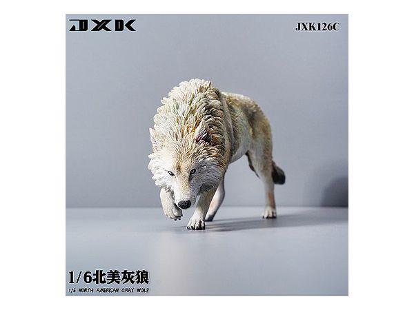 1/6 JXK-126C North American Gray Wolf Statue C (ホワイト