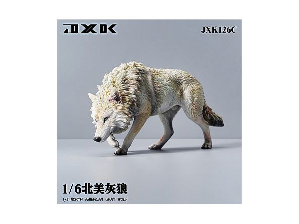 1/6 JXK-126C North American Gray Wolf Statue C (ホワイト