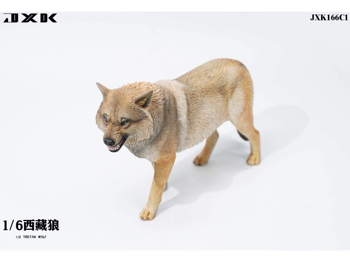 フィギュア　チベットオオカミ C1 1/6 レジン製塗装済み完成品 1/6 チベットオオカミ C1 | HLJ.co.jp