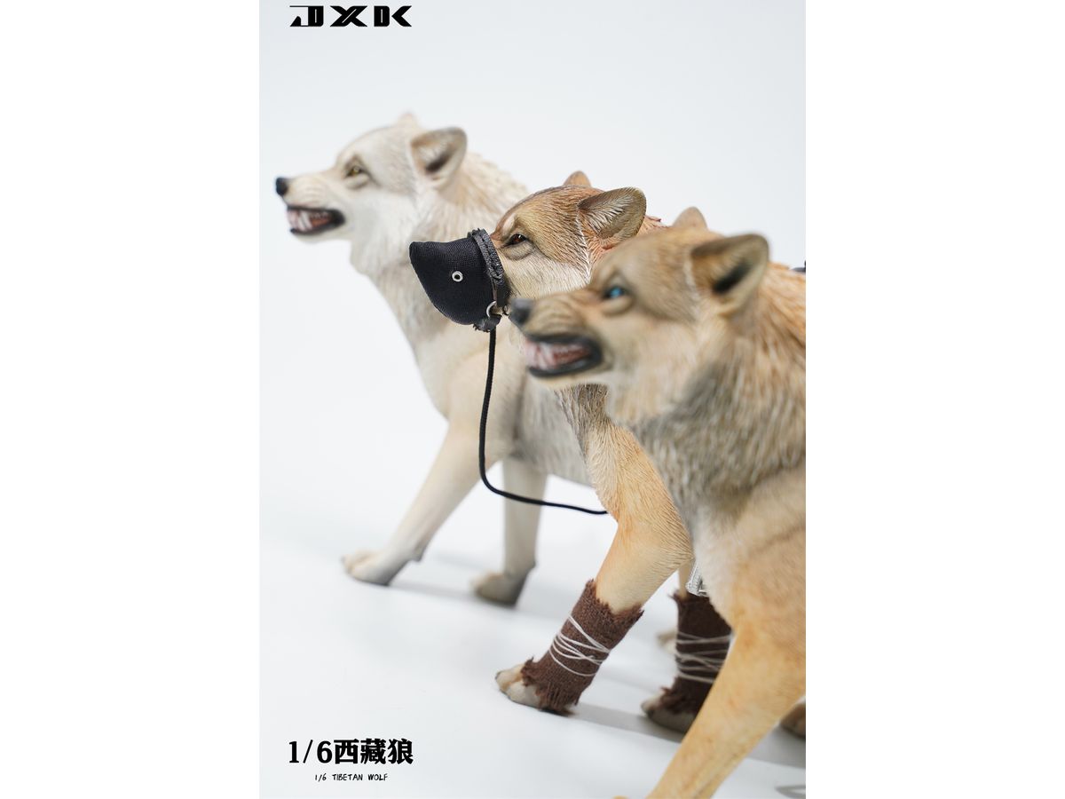 1/6 チベットオオカミ C1 | HLJ.co.jp