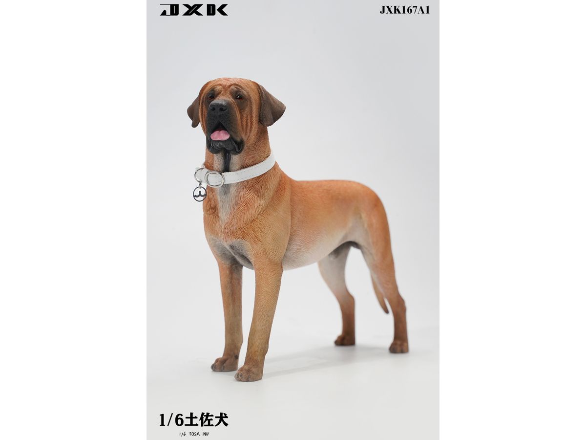 1/6 土佐犬 A1 | HLJ.co.jp