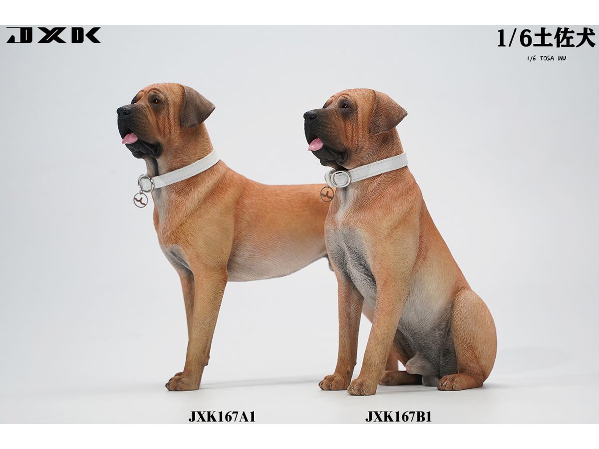 1/6 土佐犬 A1 | HLJ.co.jp