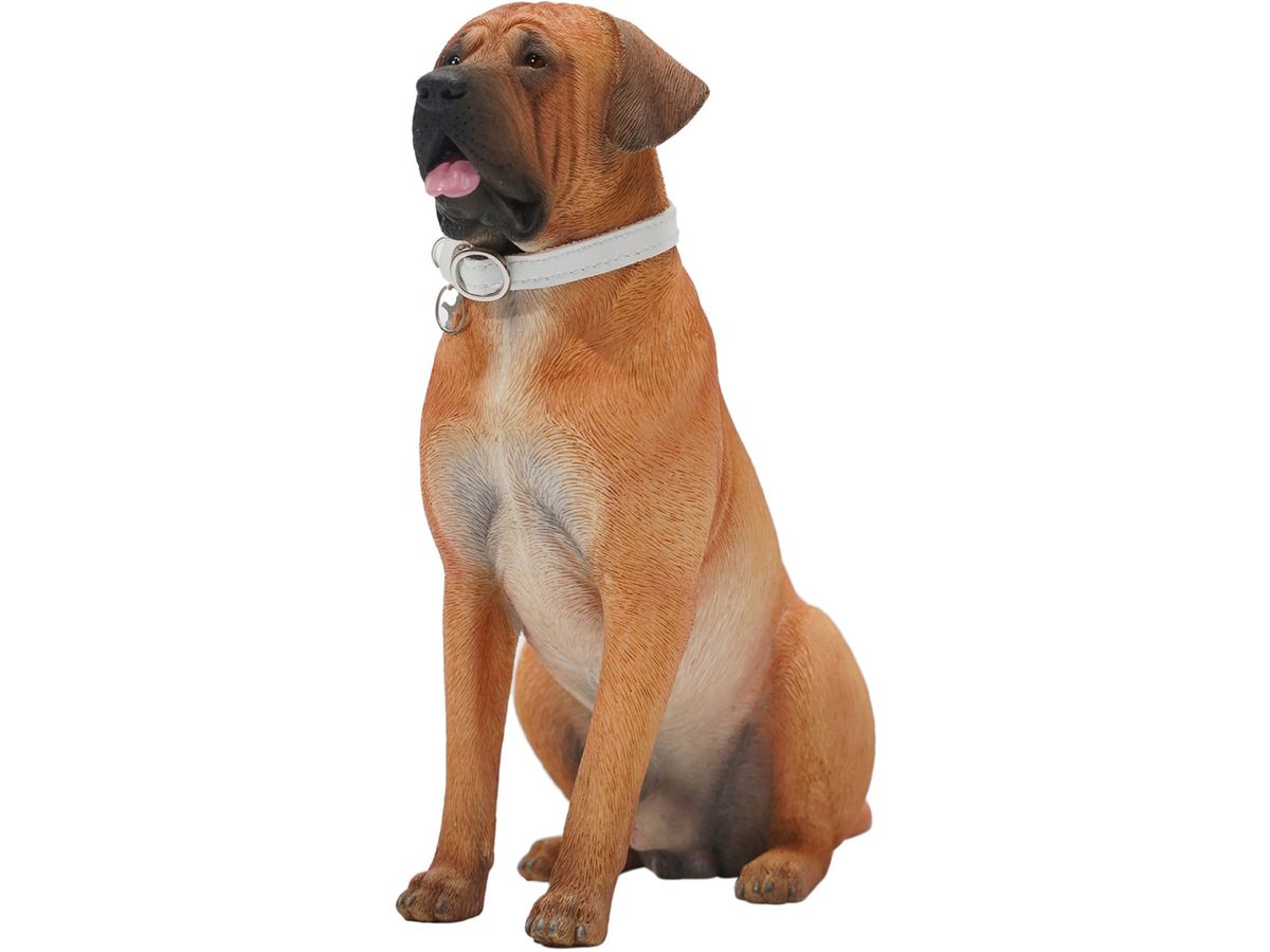 ハーネス 犬 LEDライト[品番：NX000006993]｜K-city（ケイシティ