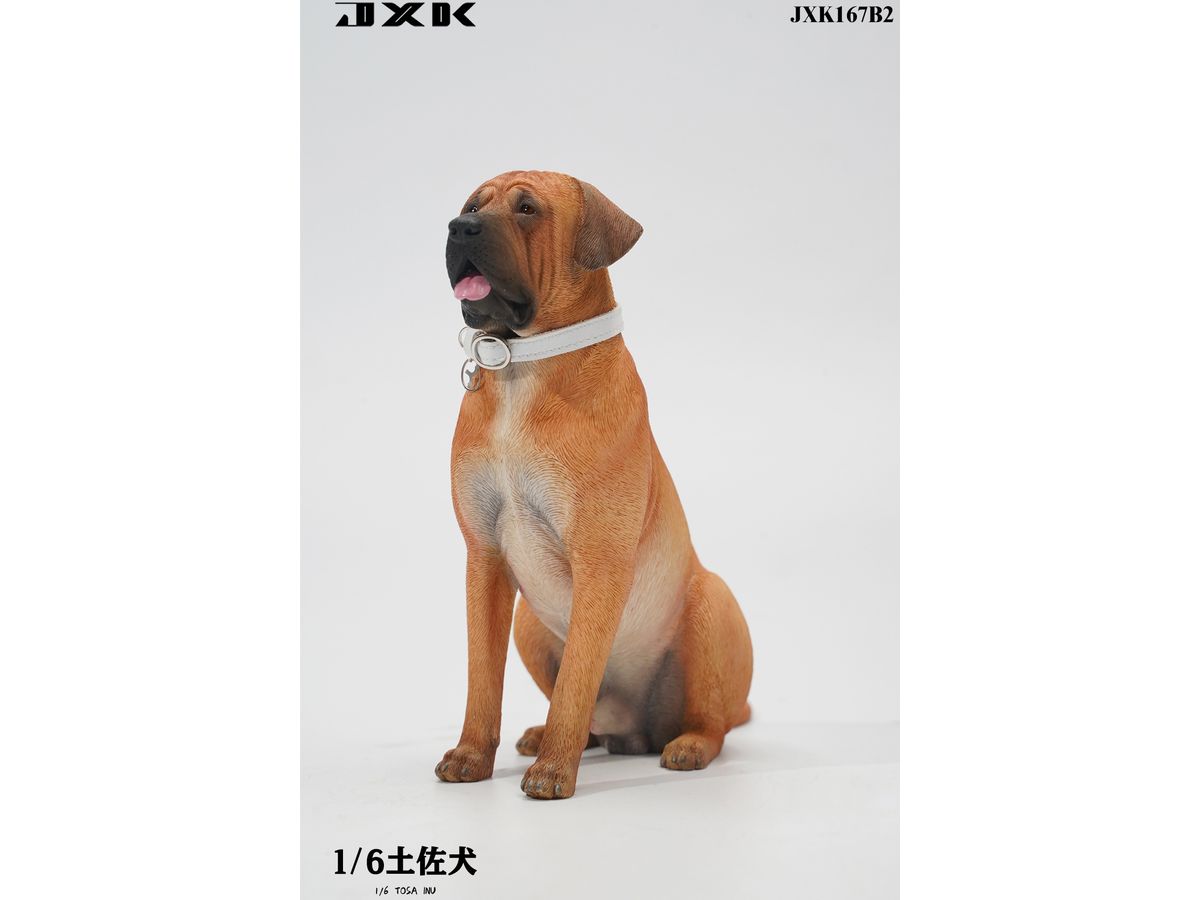 1/6 土佐犬 B2 | HLJ.co.jp