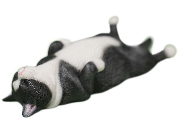 惰眠猫。 1/6 惰眠を貪る猫 6.0 D | HLJ.co.jp
