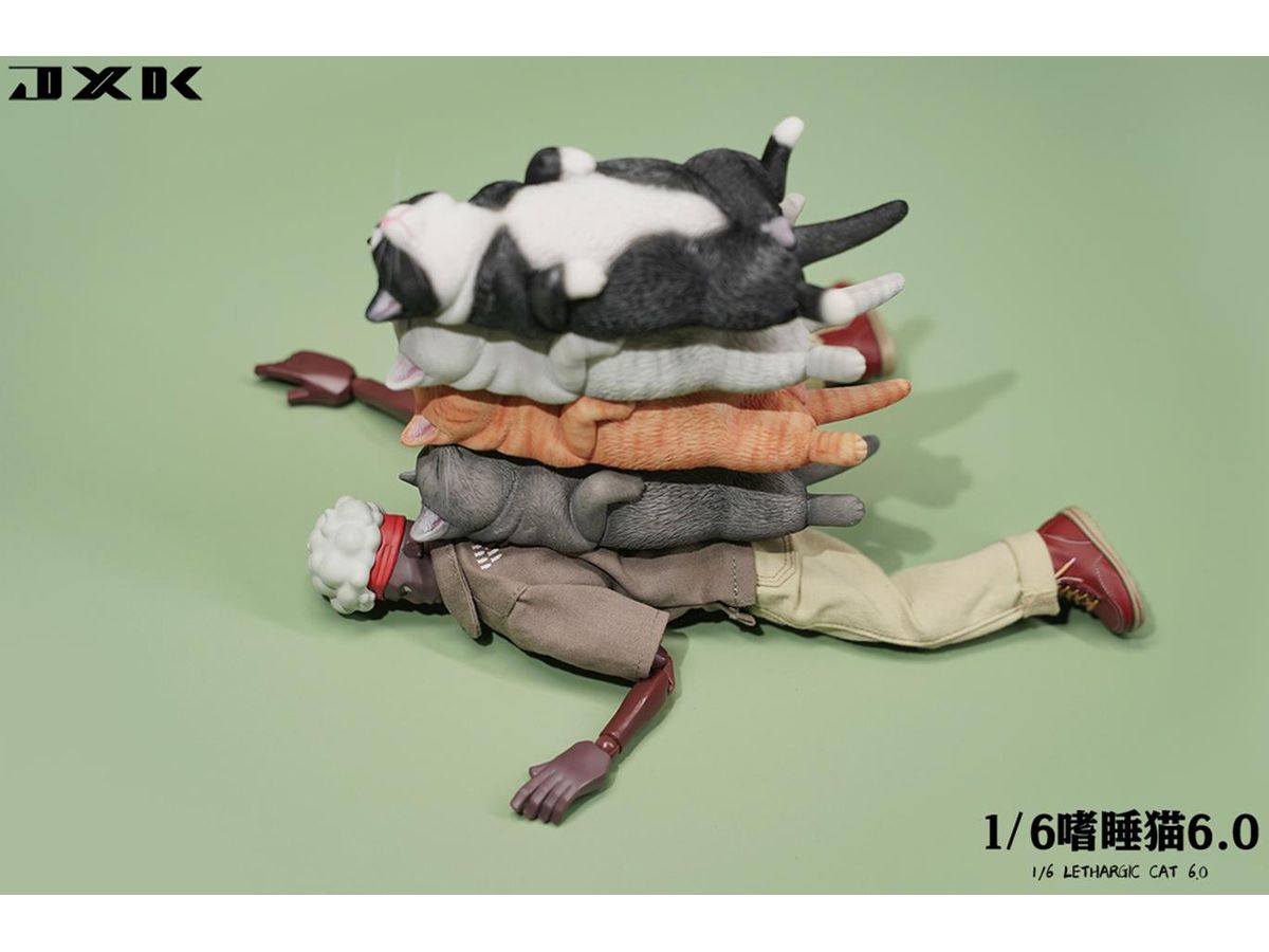 1/6 惰眠を貪る猫 6.0 D | HLJ.co.jp