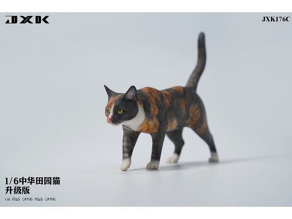 1/6 ネコ C | HLJ.co.jp