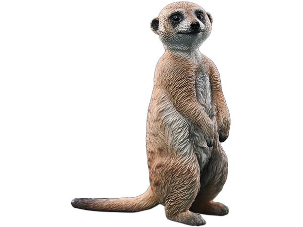 1/6 ミーアキャット B | HLJ.co.jp