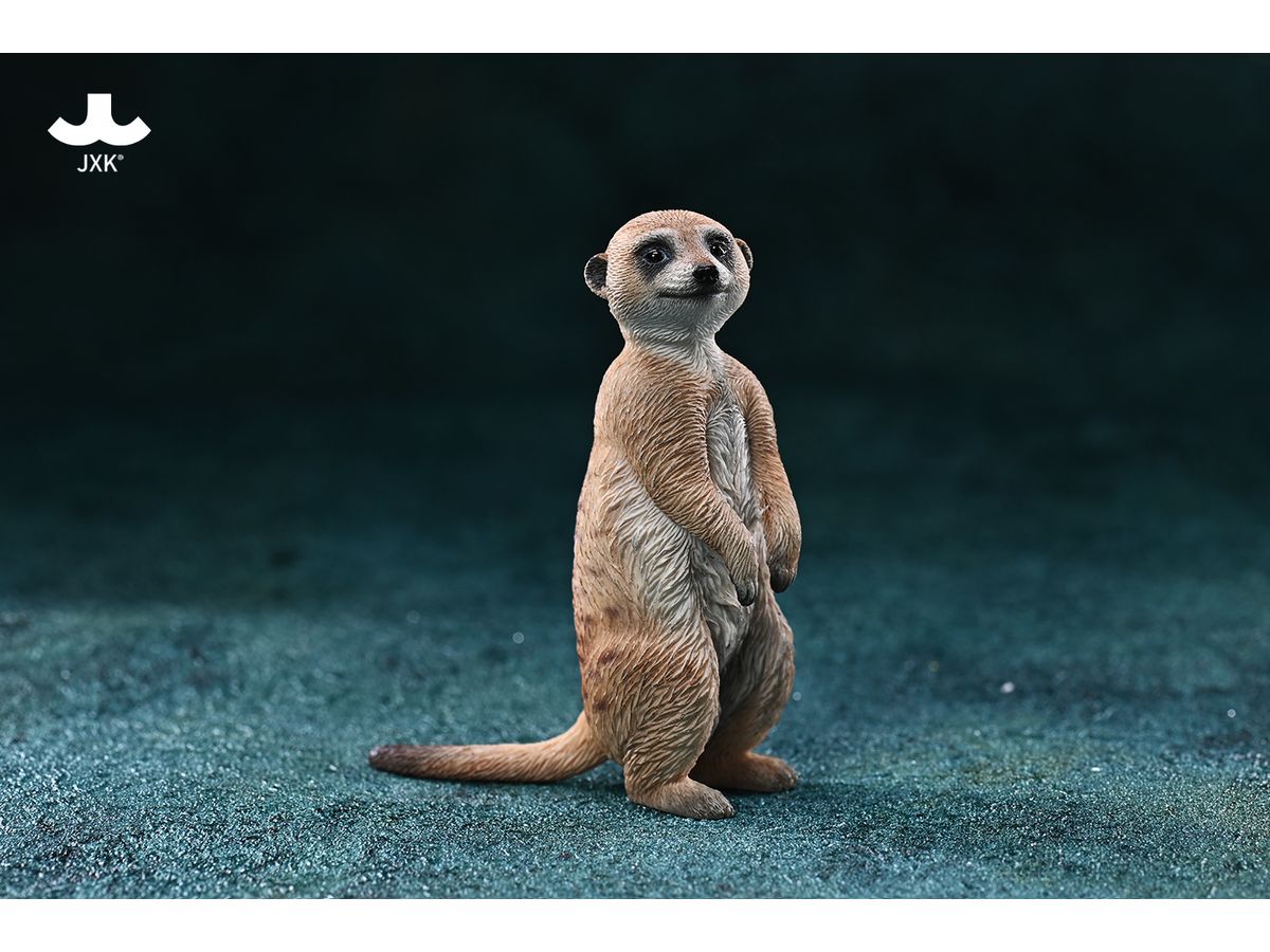 1/6 ミーアキャット B | HLJ.co.jp