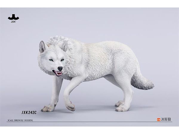 &TEAM 月狼 ラキドロ HARUA フルコンプセット ♥全4種 計6枚セット 楽天市場】【全11色】ラッキークラフト×ロデオクラフト ワウ