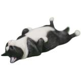惰眠猫。 81dRryYsGkL.jpg