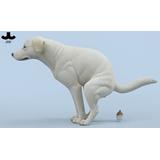 フィギュア　ふんばり ラブラドール A 1/6 レジン製塗装済み完成品 1/6 ふんばり ラブラドール A[JXKスタジオ]《在庫切れ》