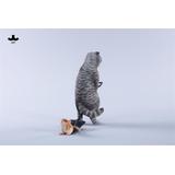 1/6 フォールデッド イヤー キャット A | HLJ.co.jp
